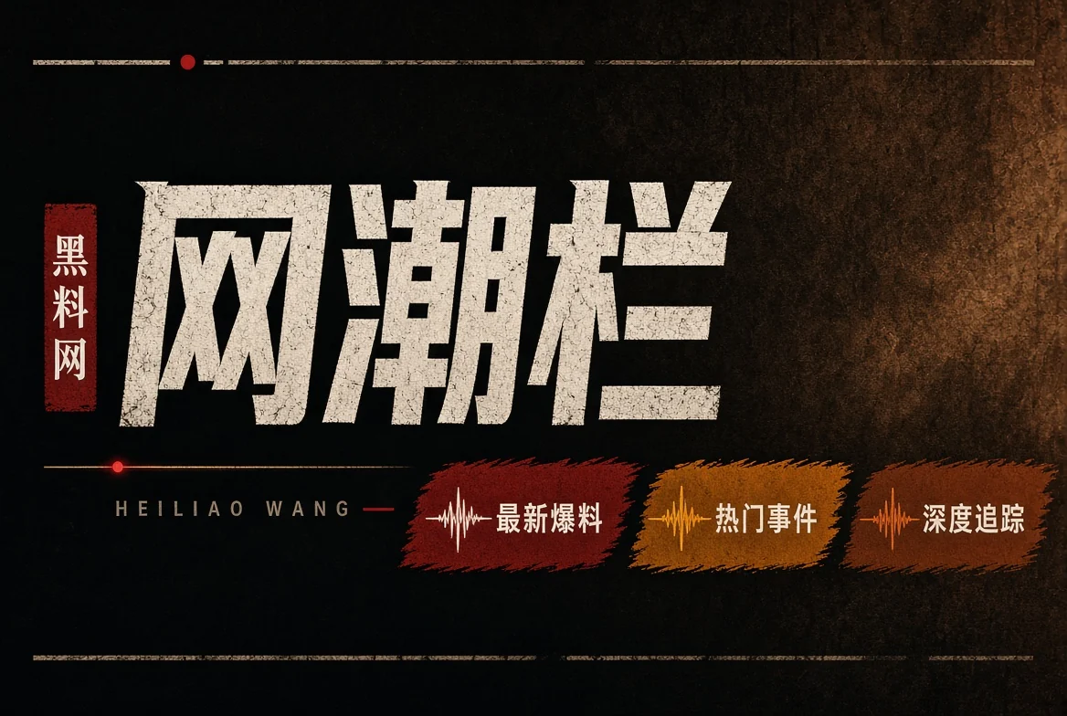网浪栏｜传播文化